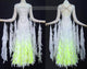 Newest Ballroom Dance Dress Big Size Smooth Dance Dress BD-SG2548