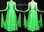 Newest Ballroom Dance Dress Plus Size Standard Dance Gowns BD-SG2582