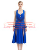 Blue Bead Fringes Latin Dance Dresses SD-LD02