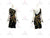 Black And Yellow Beads Latin Dance Dress Samba Dancesport Outfits LD-SG1986