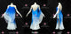 Blue And White new collection waltz dance competition dresses hand-tailored homecoming dance team gowns velvet BD-SG4603