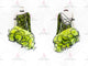 Green custom rumba dancing clothing quality salsa dancing clothing feather LD-SG2037