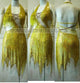 Latin Gown Big Size Latin Dance Dresses LD-SG119