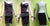 Ladies Latin Dance Dresses Tailor Made Latin Dance Clothing LD-SG638