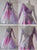 Purple Ladies Crystal Satin Ballroom Costumes Waltz BD-SG3717